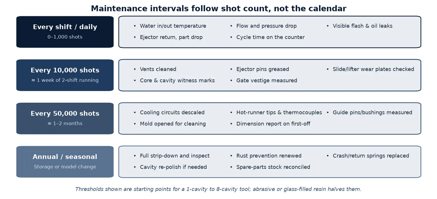 Mold Maintenance Schedule: What to Check, How Often, and What It Prevents